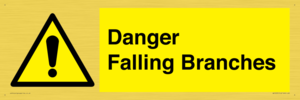 Danger Falling Branches